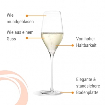 Stölzle Lausitz Exquisit Royal Champagnerkelche 265ml I Edle Champagnergläser 6er Set I Schaumweingläser 6 St. spülmaschinenfest & bruchsicher I hochwertiges Kristallglas - 6