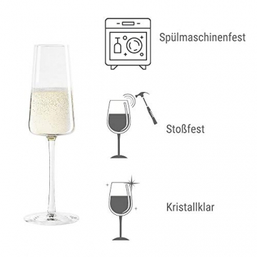 Stölzle Lausitz Power Champagnerkelche 240 ml I Schaumweingläser 6er Set Kristallglas I Sektkelche spülmaschinenfest I Sektglas-Set 6 Stück bruchsicher I wie mundgeblasen I höchste Qualität - 3