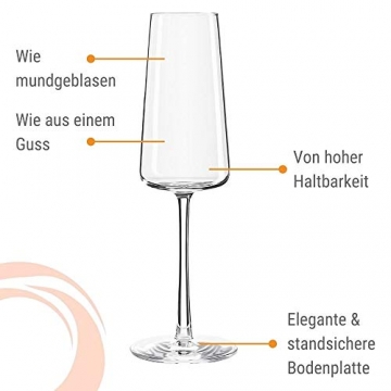 Stölzle Lausitz Power Champagnerkelche 240 ml I Schaumweingläser 6er Set Kristallglas I Sektkelche spülmaschinenfest I Sektglas-Set 6 Stück bruchsicher I wie mundgeblasen I höchste Qualität - 6